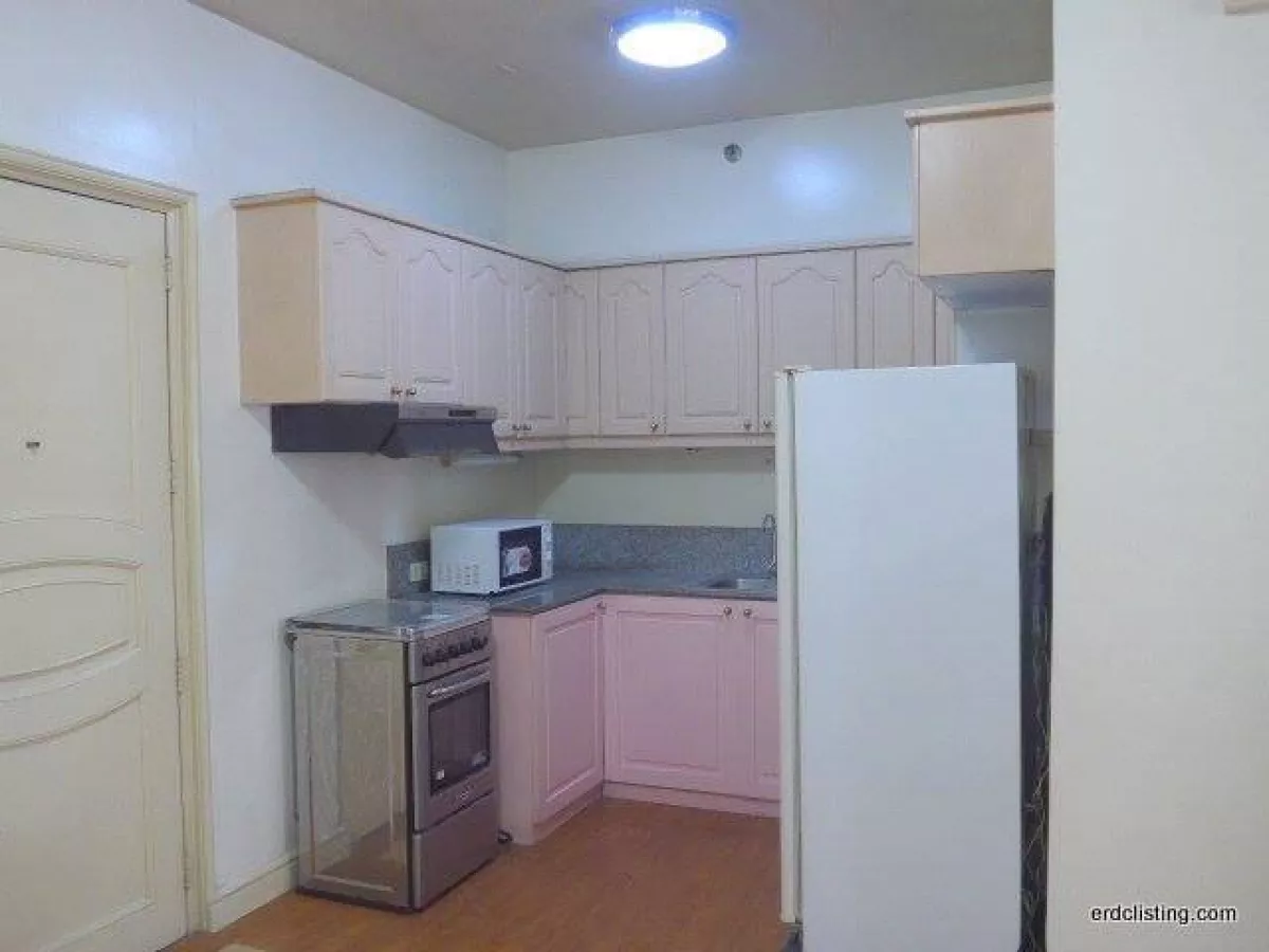 Alpha Salcedo Makati 1 Bedroom for Rent07