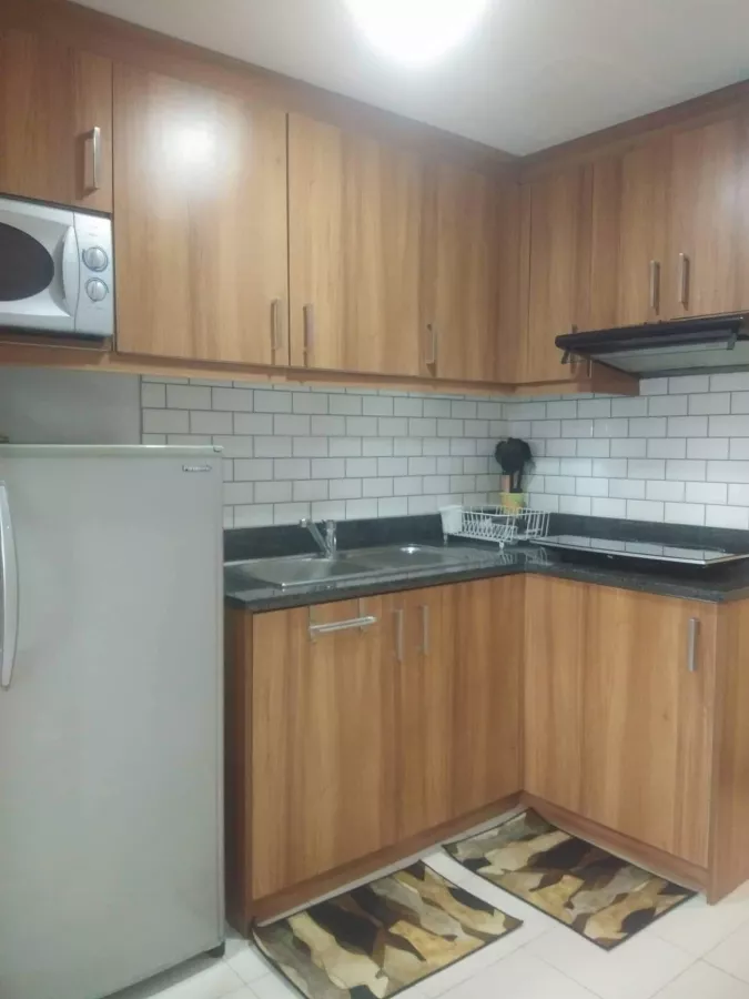 Newly Refurbished Studio at Greenbelt Radisson- Makati City07