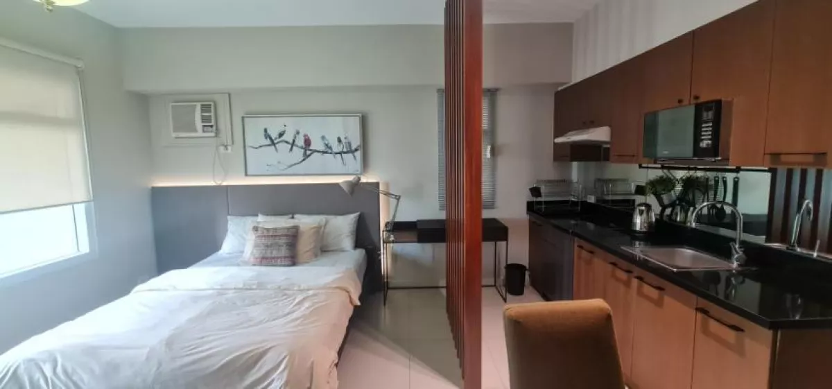 Wonderful studio unit in Aston at Two Serendra02