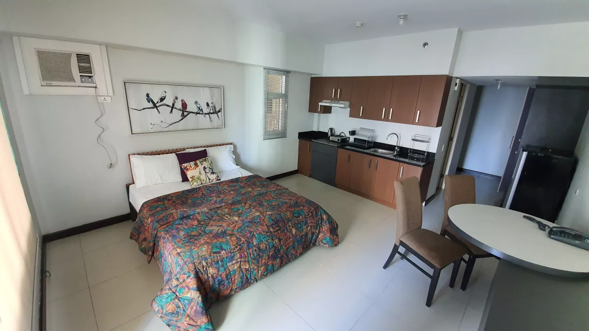 Wonderful studio unit in Aston at Two Serendra04