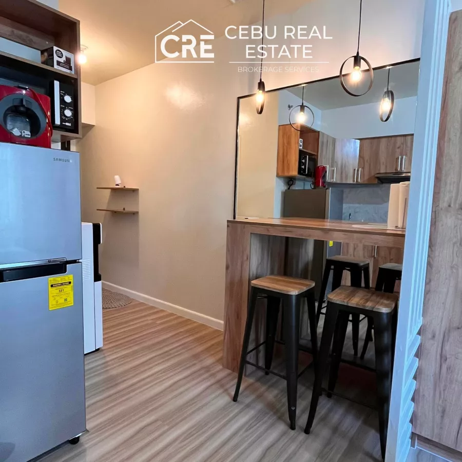 Fully Furnished Studio Unit for Rent at CEBU IT PARK04