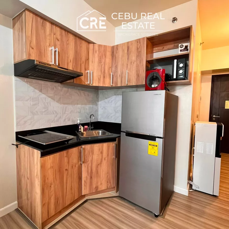 Fully Furnished Studio Unit for Rent at CEBU IT PARK05