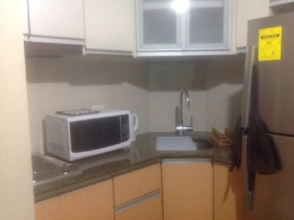 31 sqm Studio Type Unit with Parking at Two Palm Tree Villas in Pasay03