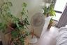 For Rent Fully Furnished Studio Unit at Vinia Residences07