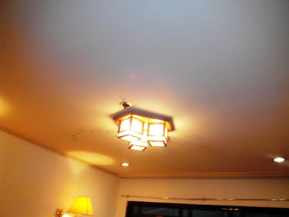 Antel Platinum Tower 1bedroom06