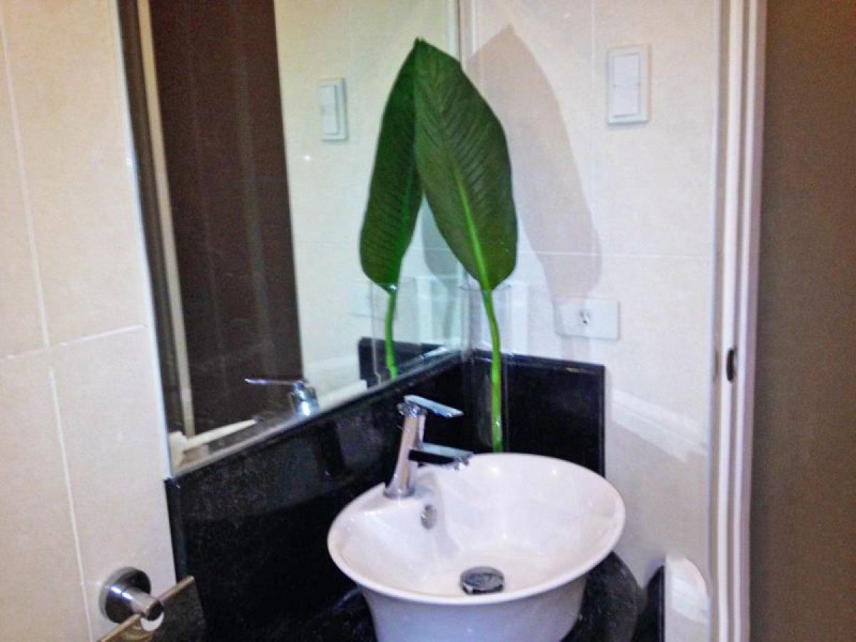 "23sqm Studio, Stamford Executive Residences, Taguig for Rent"02