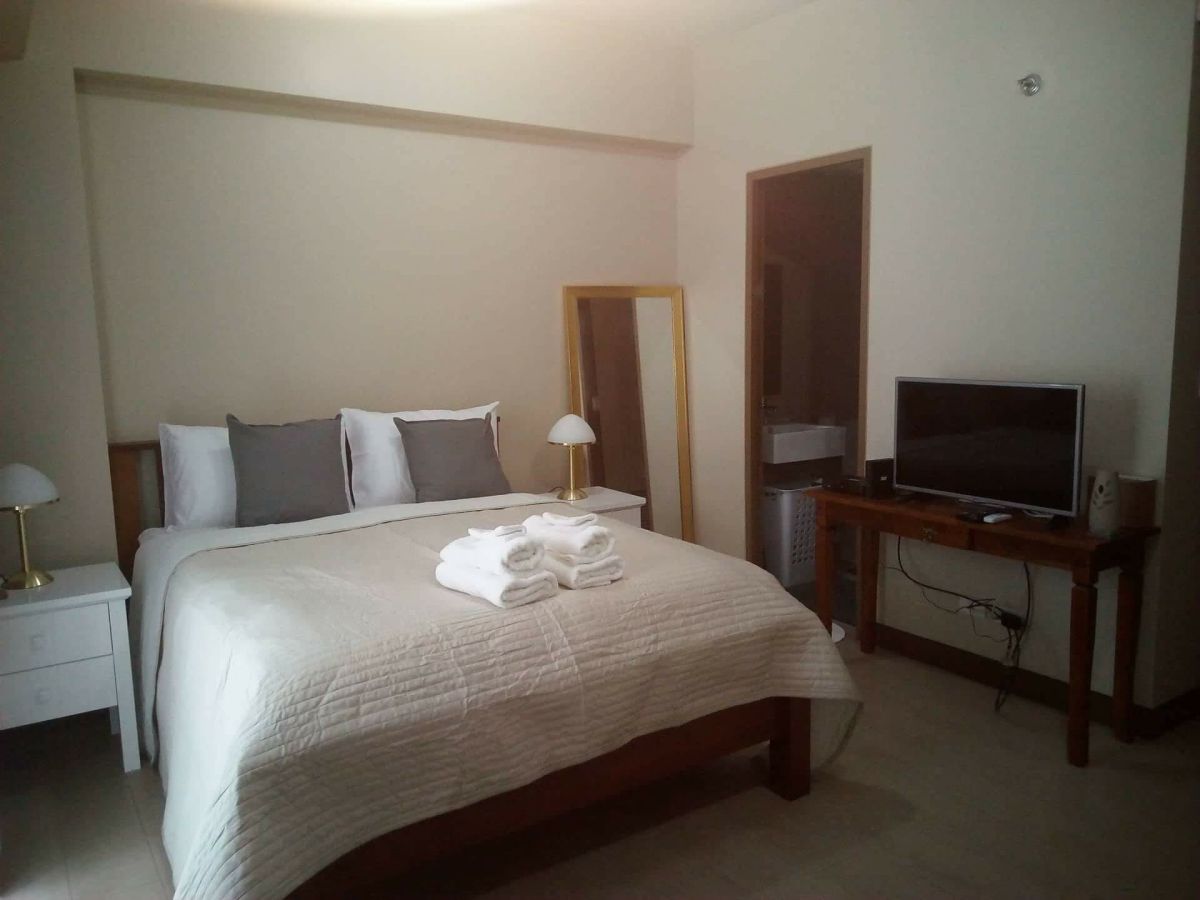 Two Palm Tree Villas Fur Studio Type in Pasay City05