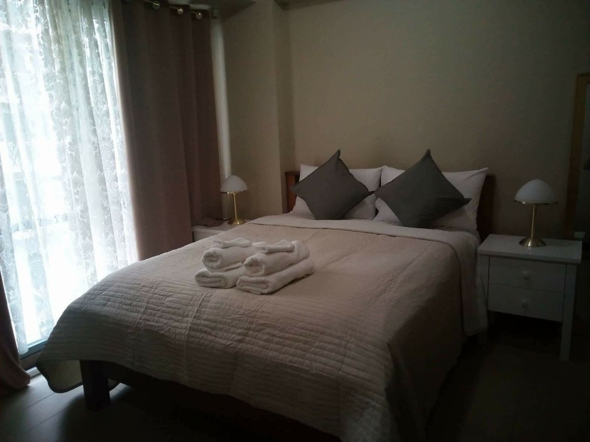 Two Palm Tree Villas Fur Studio Type in Pasay City07