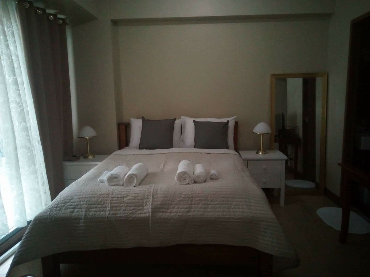 Two Palm Tree Villas Fur Studio Type in Pasay City09