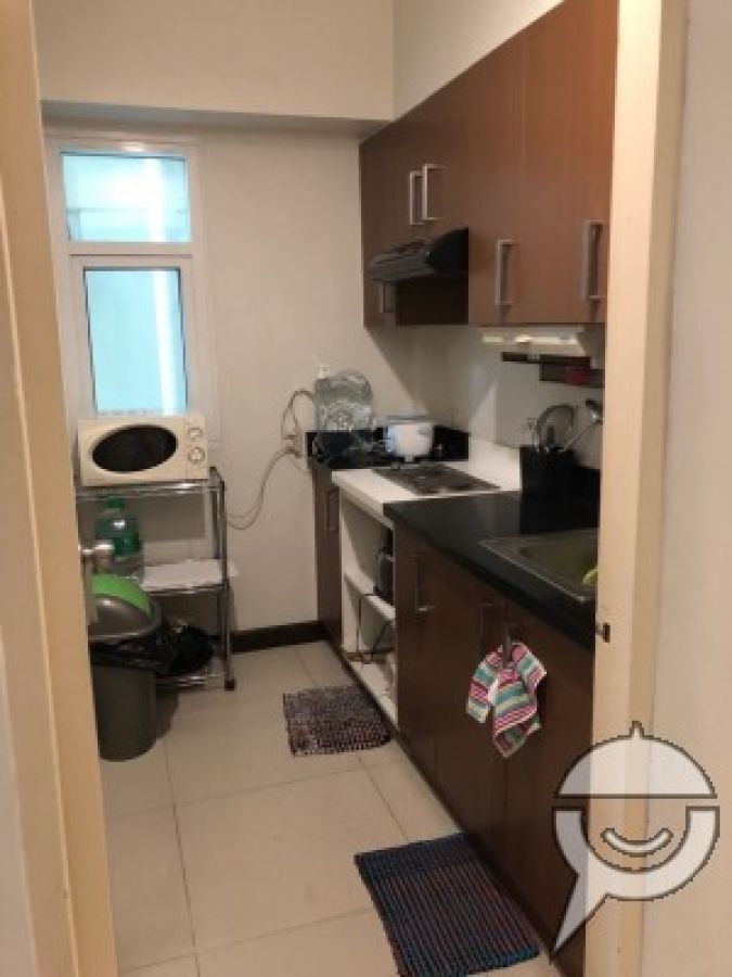 Freshly Updated Studio Unit in Aston Two Serendra02