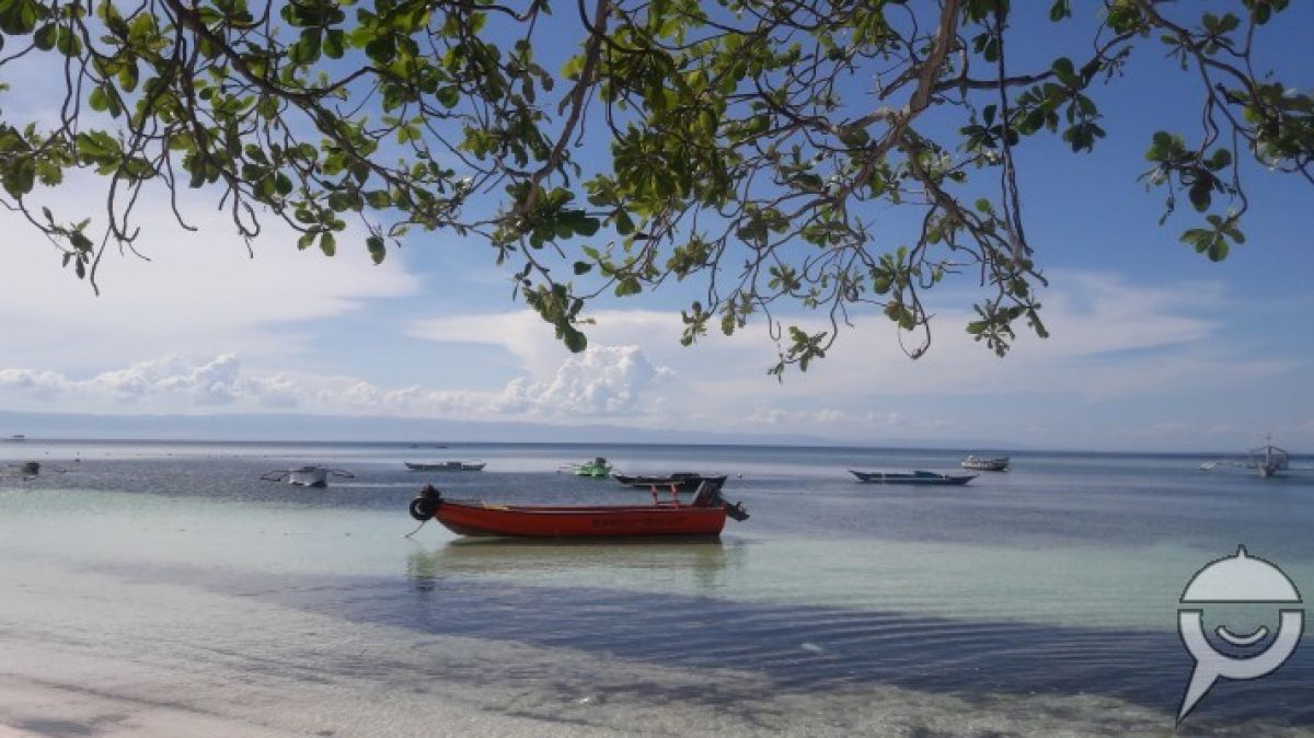 "Studio Unit Apartments For Rent In Doljo, Panglao"04