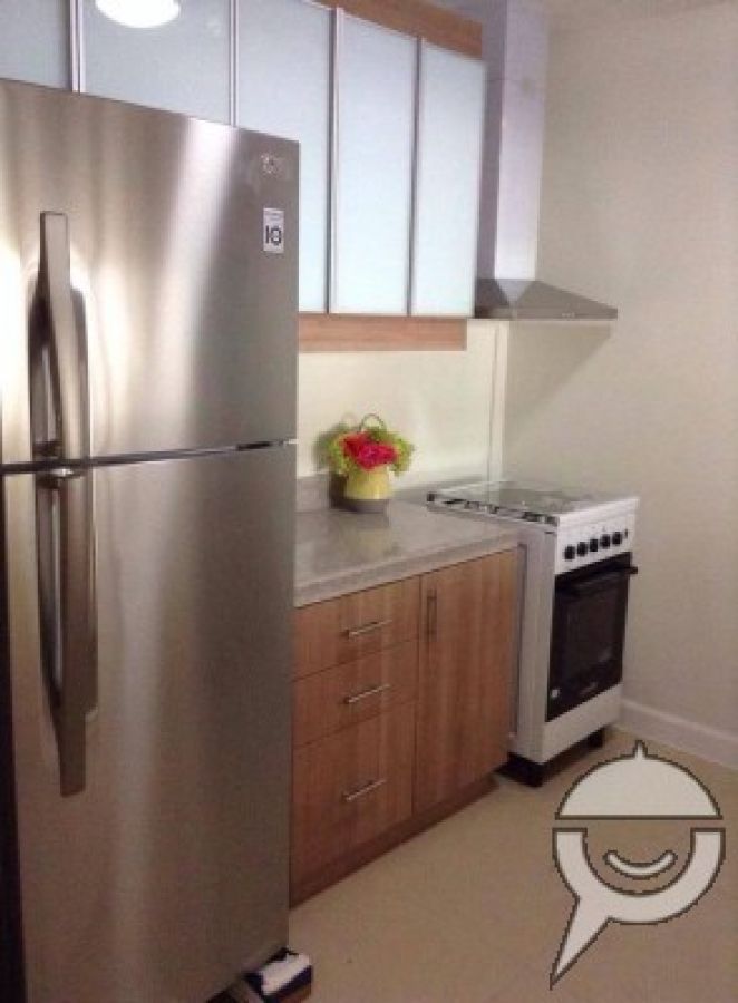 2 Bedroom Fully Furnished with parking @ Grand Midori Makati06
