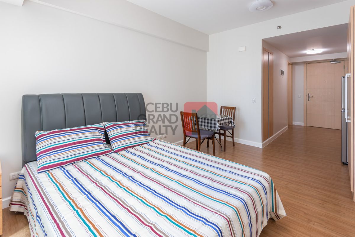 Brand New Furnished Studio with Parking for Rent in Solinea02