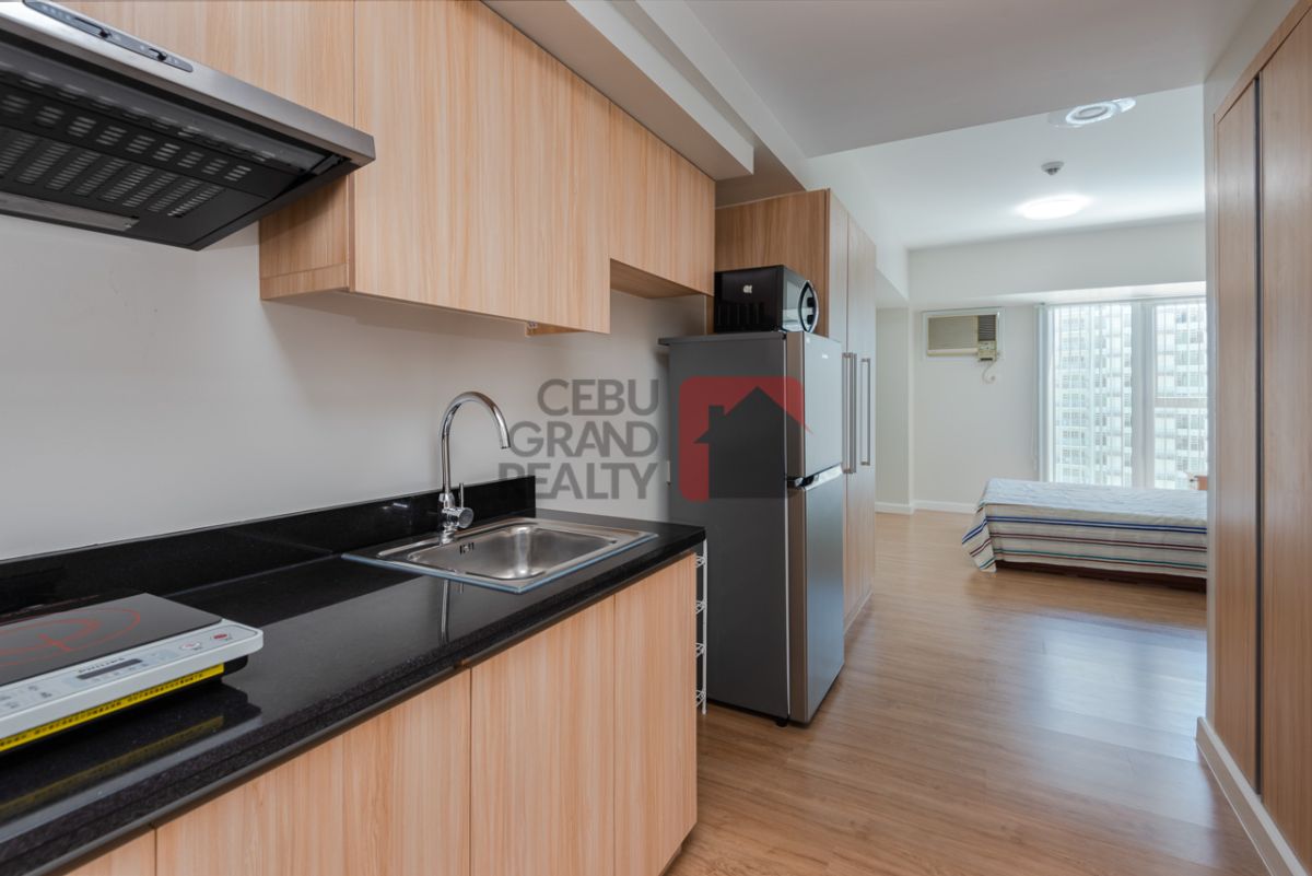 Brand New Furnished Studio with Parking for Rent in Solinea04