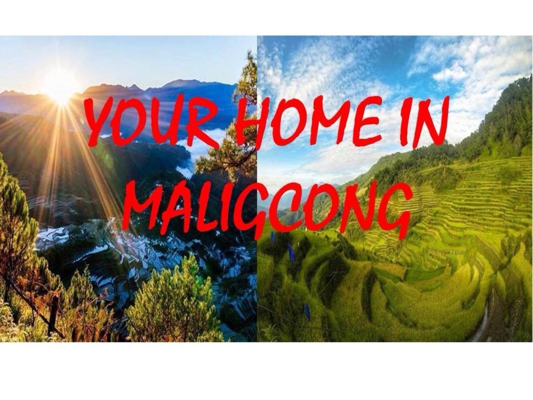 Maligcong Homestay /Guesthouse02