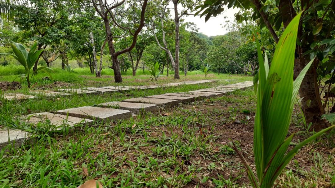 Farmhouse in Lumban Laguna Farm Land  Lot for Rent Lease beside Pagsanjan River08