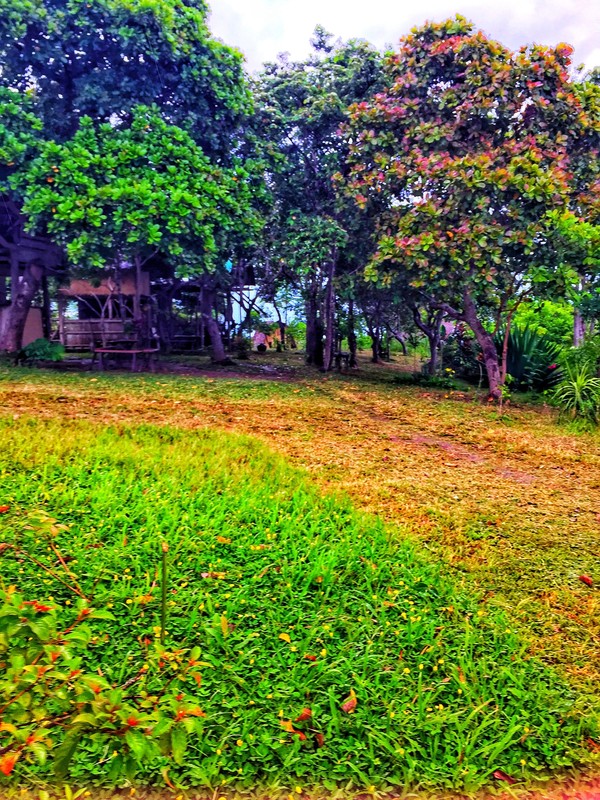 vue grand hilltop07