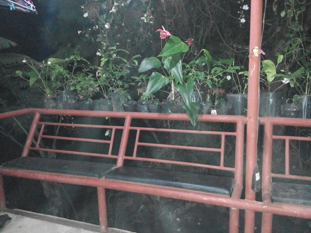 Your home in Sagada: Big Dipper05