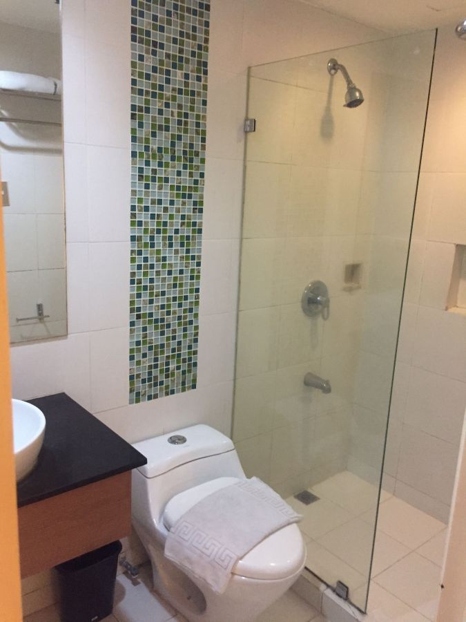 Furnished Studio Unit for Lease in Millennium Plaza03