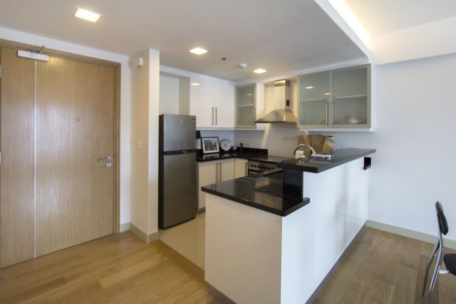 Brand New 1 Bedroom Condo for Rent in Park Point Residences.03