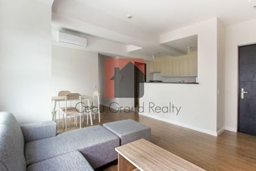 2 Bedroom Condo for Rent in Solinea Towers.02