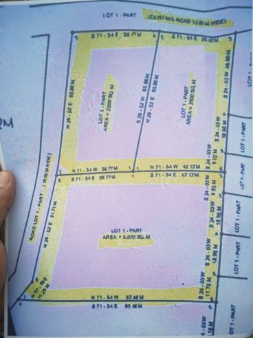 Lot for lease/Rent long term in Paknaan Near Tayud Consolacion Cebu03