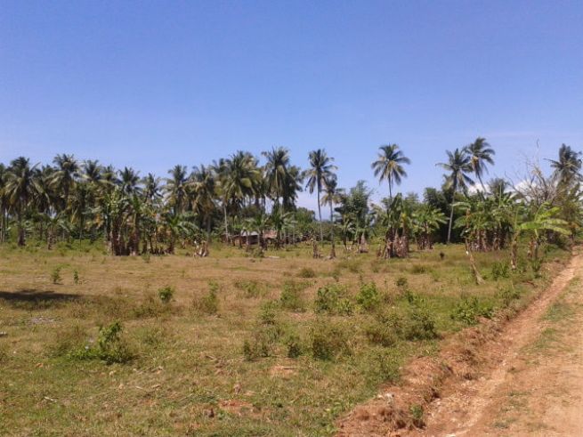 "Commercial Lot For Rent at El Salvador, Misamis Oriental"01