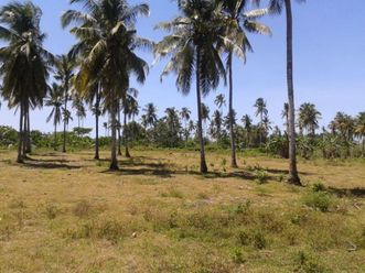 "Commercial Lot For Rent at El Salvador, Misamis Oriental"02