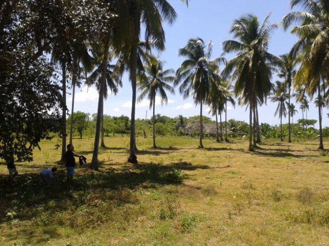 "Commercial Lot For Rent at El Salvador, Misamis Oriental"03