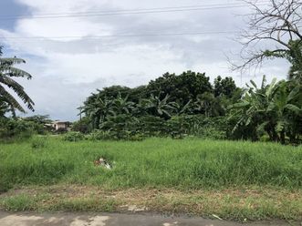 Spacious lot for lease in Pulo02