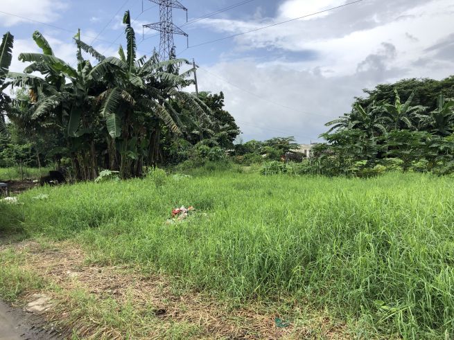 Spacious lot for lease in Pulo03