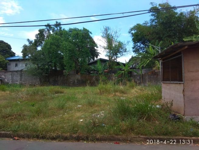Lot For Lease... 350 SQM For Your Dream Business03