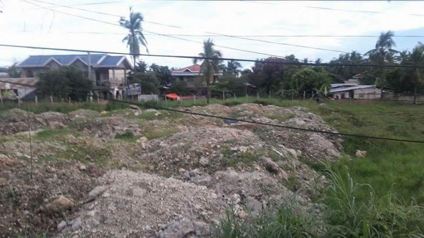 "Commercial Lot For Rent at Consolacion, Cebu"03