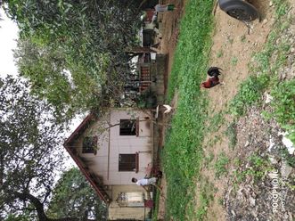 Farm lot for rent affordable02