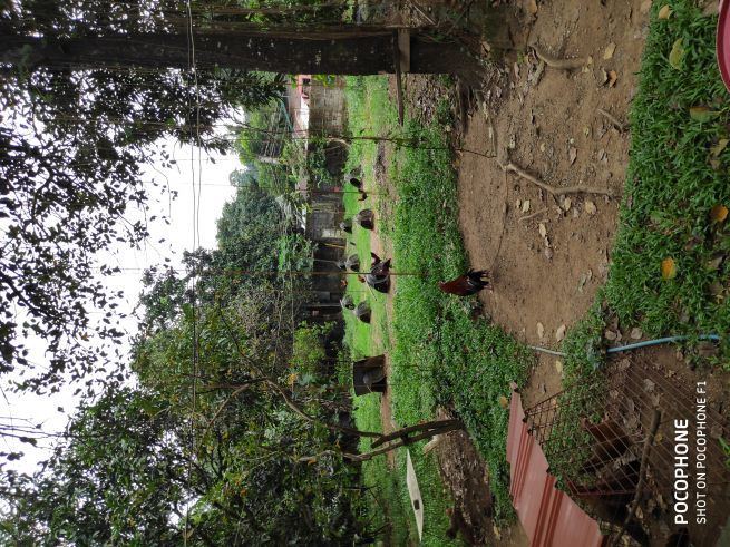 Farm lot for rent affordable04