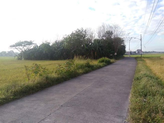 "1,814 Sq.M. Commercial/Institutional Lot for Lease"04