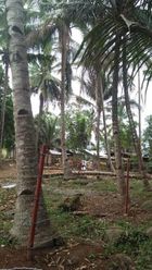 "Residential Lot for Rent at Cagayan de Oro, Misamis Oriental"02