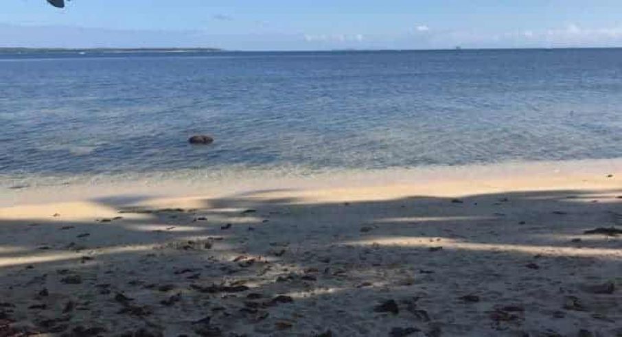 "Beach Lot in General Luna, Siargao, Philippines for Lease"01