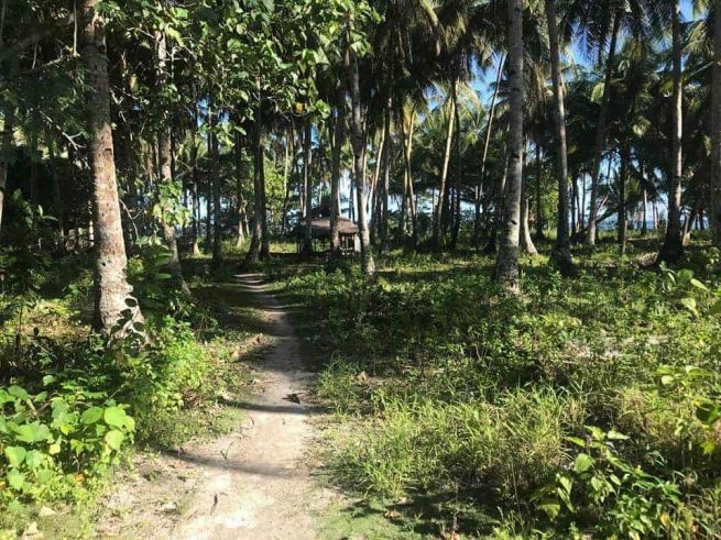 "Beach Lot in General Luna, Siargao, Philippines for Lease"04