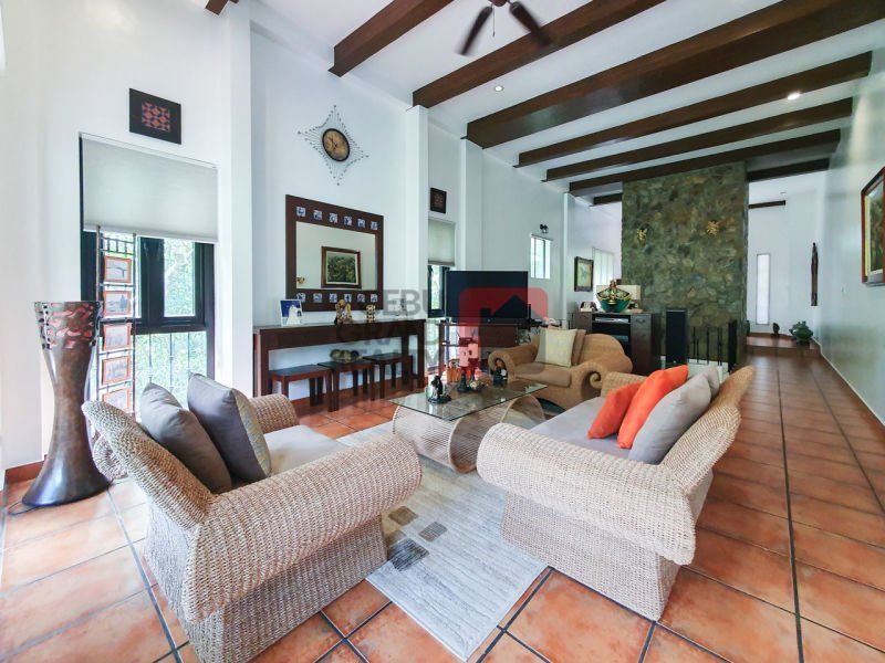 Overlooking 4 Bedroom House for Rent in Maria Luisa Park.04