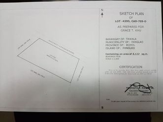 Prime Lot for Long Term Lease near Panglao International Airport02