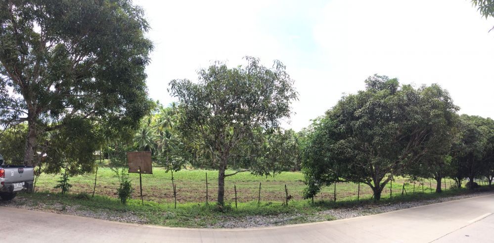 "17,452 sqm Along the Road Land in Consuelo, General Luna, Siargao For"03