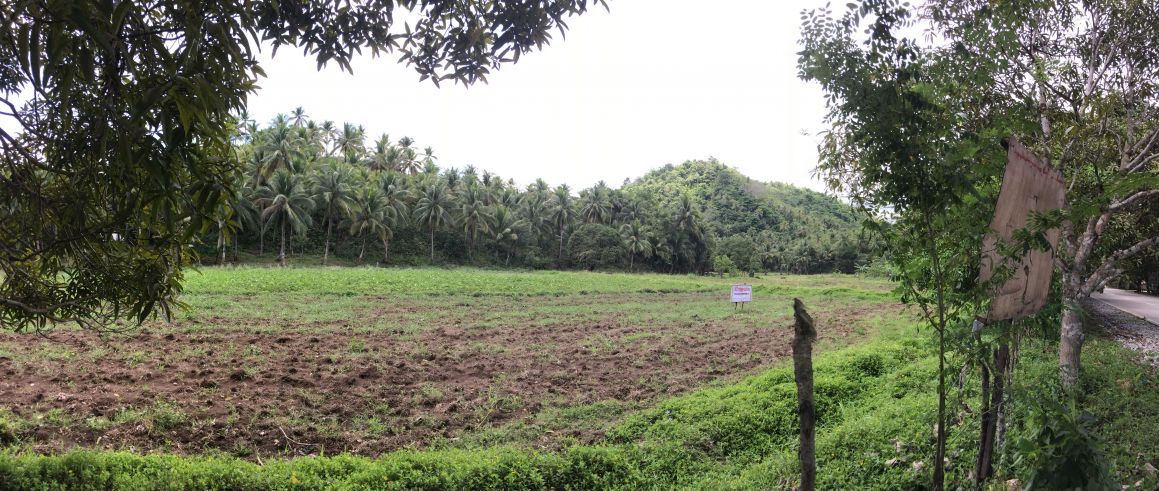 "17,452 sqm Along the Road Land in Consuelo, General Luna, Siargao For"04