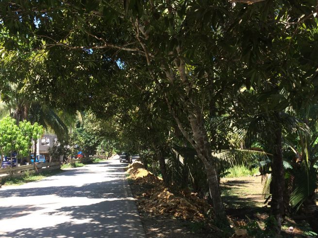 Great Lot Size for such Price General Luna Highway Lot for Lease/Rent04