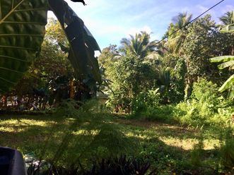 Strategic Location General Luna Highway Lot for Lease/Rent Siargao02