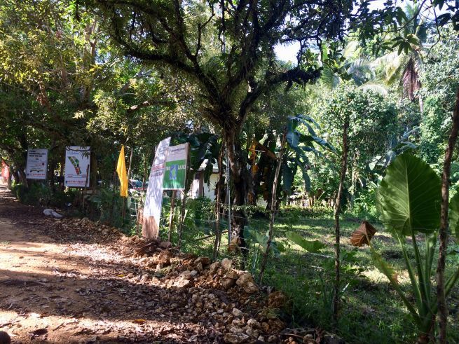Strategic Location General Luna Highway Lot for Lease/Rent Siargao03