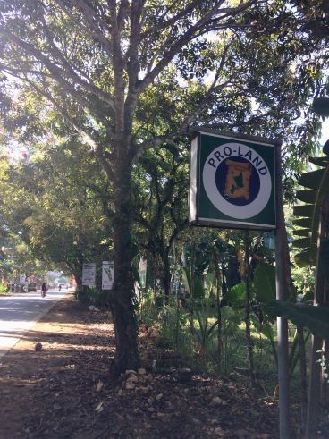 Strategic Location General Luna Highway Lot for Lease/Rent Siargao04