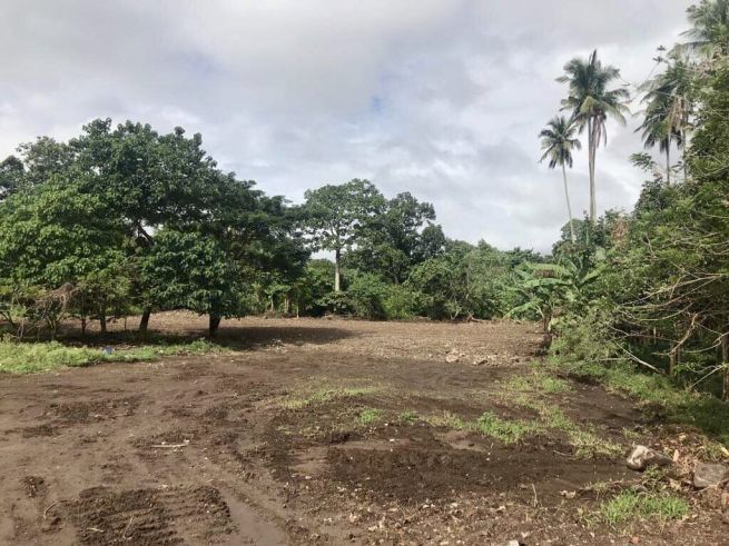 Industrial Lot for Lease in Bypass Road in Alaminos Laguna03