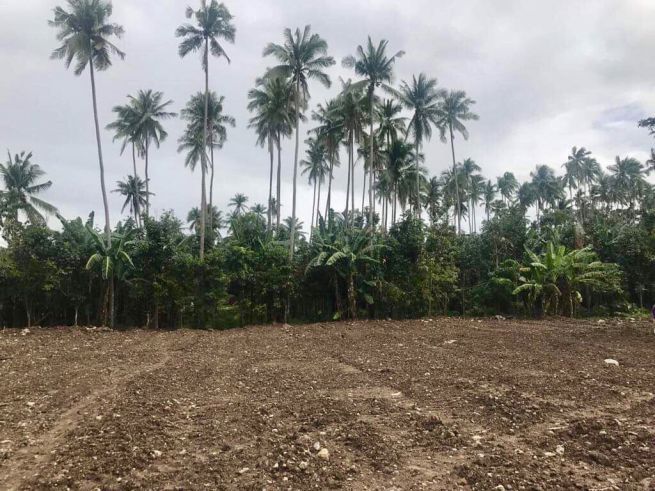 Industrial Lot for Lease in Bypass Road in Alaminos Laguna04