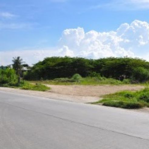 "7,958 sqm Commercial Lot for rent in Liloan, Cebu"03